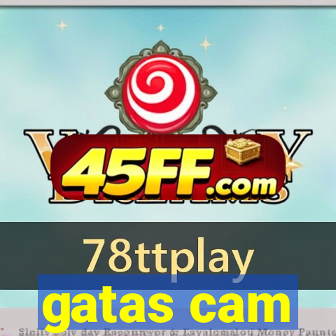 gatas cam